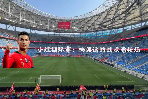 小组循环赛:被误读的战术竞技场
